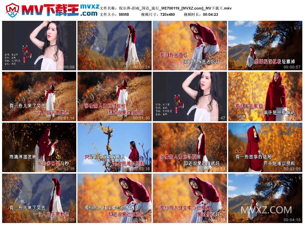 倪尔萍-泪雨_国语_流行_ME700119